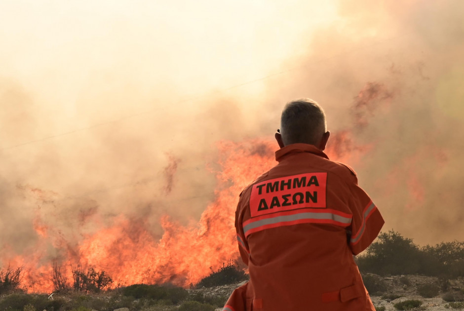 Επιστολή πρώην Διευθυντών Τμ. Δασών στον ΠτΔ κατά της διάσπασης του Τμήματος Επιστολή πρώην Διευθυντών Τμ. Δασών στον ΠτΔ κατά της διάσπασης του Τμήματος