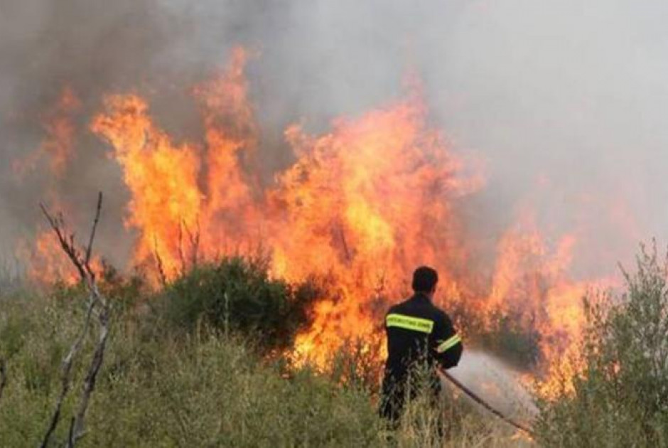 Φωτιά επηρέασε άγρια βλάστηση και δέντρα παρά την κοινότητα Πραστειού Αυδήμου Φωτιά επηρέασε άγρια βλάστηση και δέντρα παρά την κοινότητα Πραστειού Αυδήμου