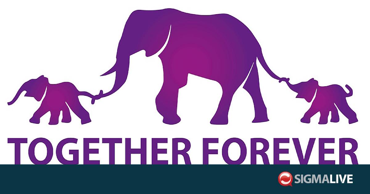 Together Forever Foundation – Sigmalive