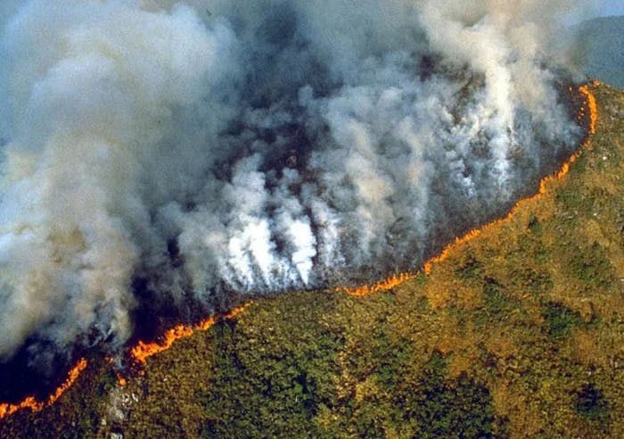 Οι φωτιές στον Αμαζόνιο προκάλεσαν πρωτοφανείς εκπομπές διοξειδίου του άνθρακα