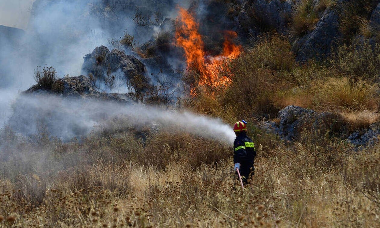 Υπό έλεγχο η φωτιά σε περιοχή της κοινότητας Δρούσειας