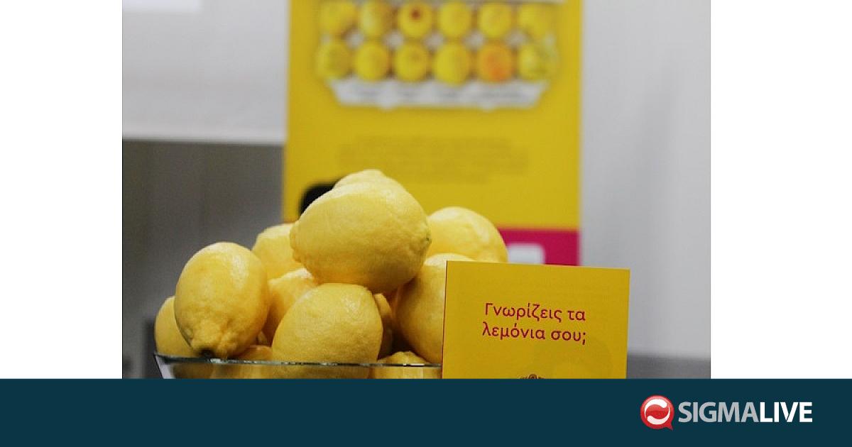 Ογκολογική Εταιρεία Κύπρου-“Know Your Lemons” Ογκολογική Εταιρεία Κύπρου-“Know Your Lemons”