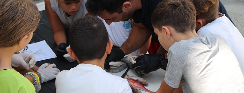 Το SEAMIND φέρνει τη θάλασσα στην τάξη με ένα πρωτότυπο εργαστήριο Το SEAMIND φέρνει τη θάλασσα στην τάξη με ένα πρωτότυπο εργαστήριο