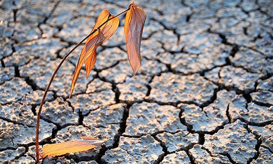 Κίνδυνος τέταρτης χρονιάς ανομβρίας -«Δεήσεις για να έχουμε βροχές» Κίνδυνος τέταρτης χρονιάς ανομβρίας -«Δεήσεις για να έχουμε βροχές»