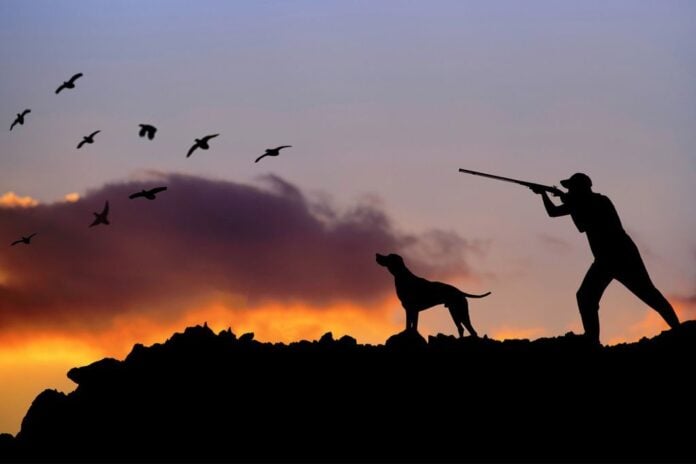 Πρώτη Κυριακή κυνηγετικής περιόδου – Τι πρέπει να γνωρίζουν οι κυνηγοί Πρώτη Κυριακή κυνηγετικής περιόδου – Τι πρέπει να γνωρίζουν οι κυνηγοί