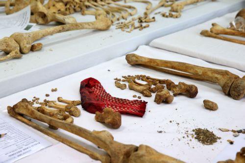 Επ.Προσφύγων: Ανοικτή πληγή το θέμα των αγνοουμένων λέει ο Εισηγητής ΕΚ Επ.Προσφύγων: Ανοικτή πληγή το θέμα των αγνοουμένων λέει ο Εισηγητής ΕΚ