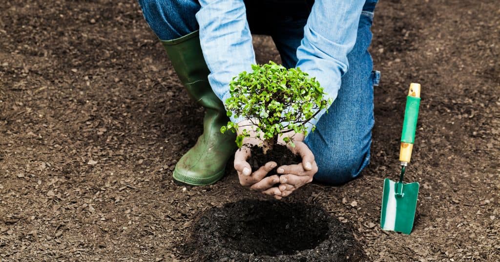Αστυνομία: Κάλεσμα για δεντροφύτευση με σκοπό την ασφάλεια και ευαισθητοποίηση Αστυνομία: Κάλεσμα για δεντροφύτευση με σκοπό την ασφάλεια και ευαισθητοποίηση