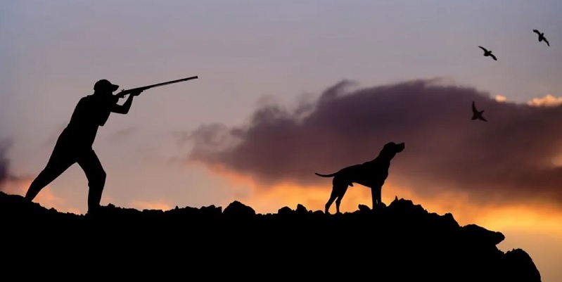 Μειώνονται χρόνο με τον χρόνο οι κυνηγοί στην Κύπρο - Ο λόγος