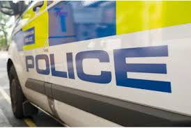 Eννιάμηνο βρέφος νεκρό σε επίθεση σκύλου στην Ουαλία