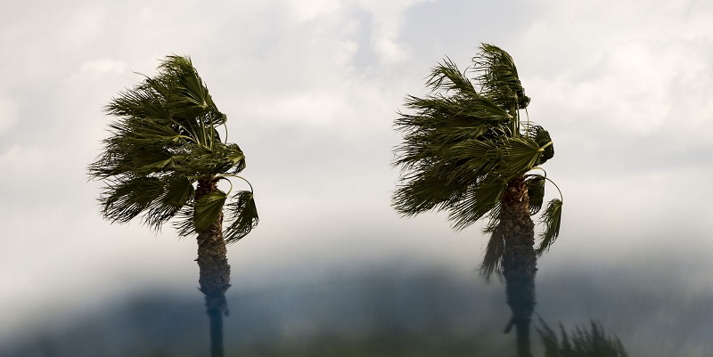Ισχυρά μποφόρ και σκόνη στην ατμόσφαιρα σήμερα - Πού αναμένονται βροχές
