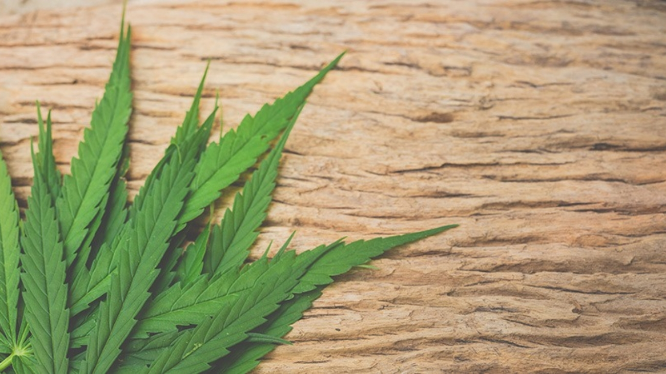 Κύπρος: Προϊόντα «νόμιμης κάνναβης» περιέχουν επικίνδυνα συνθετικά