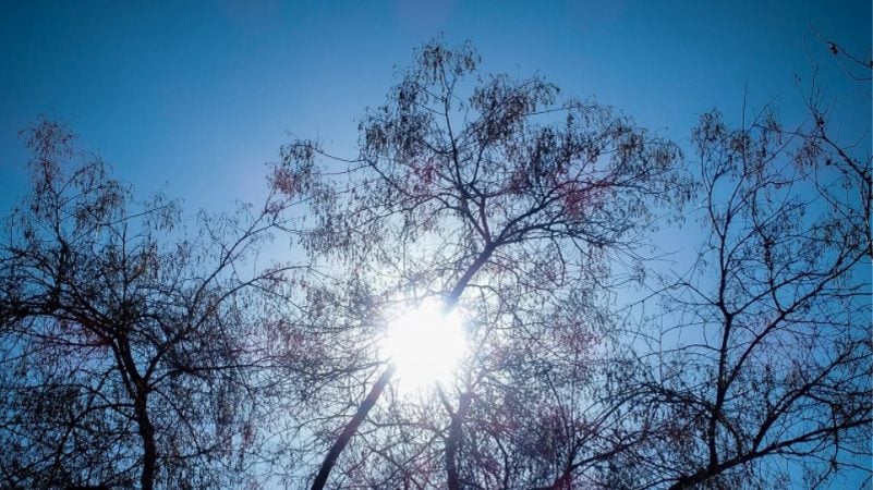 Κυρίως αίθριος ο καιρός – Πότε αναμένεται πτώση της Θερμοκρασίας