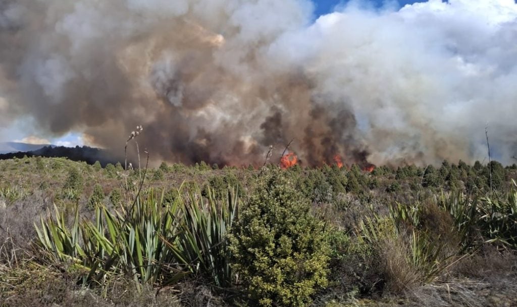 Μεγάλη πυρκαγιά σε εθνικό πάρκο της Νέας Ζηλανδίας