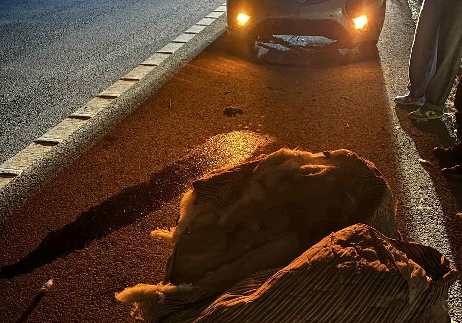 Οδηγός προσέκρουσε σε στρώμα στον αυτοκινητόδρομο Λεμεσού - Λευκωσίας (pic)