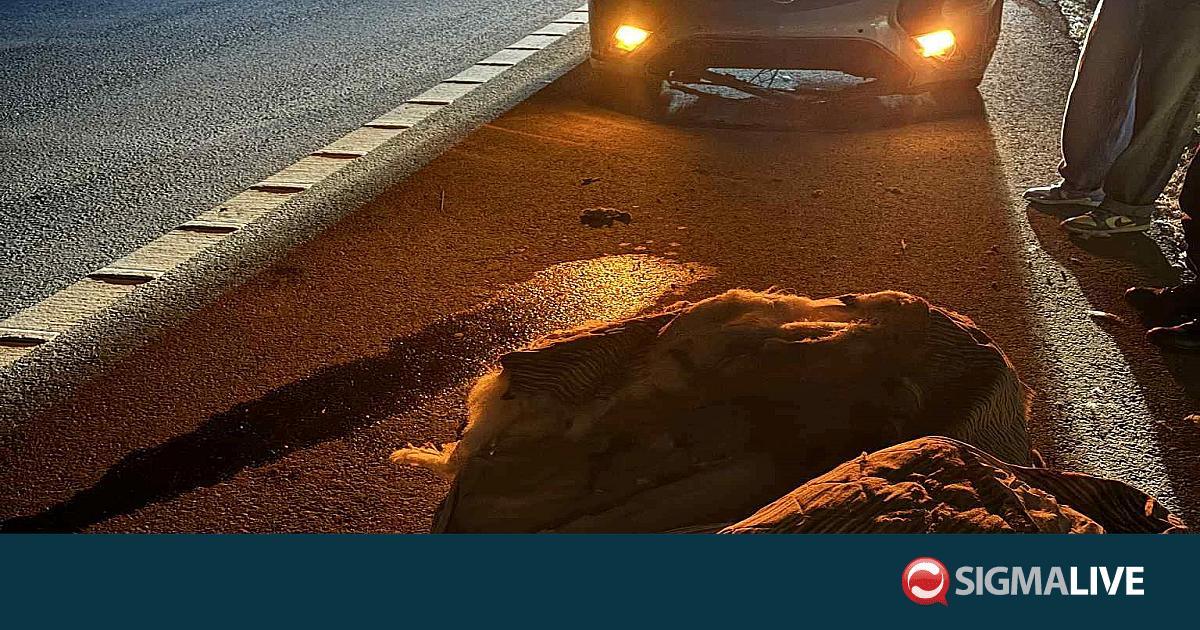 Οδηγός προσέκρουσε σε στρώμα στον αυτοκινητόδρομο Λεμεσού – Λευκωσίας (pic)