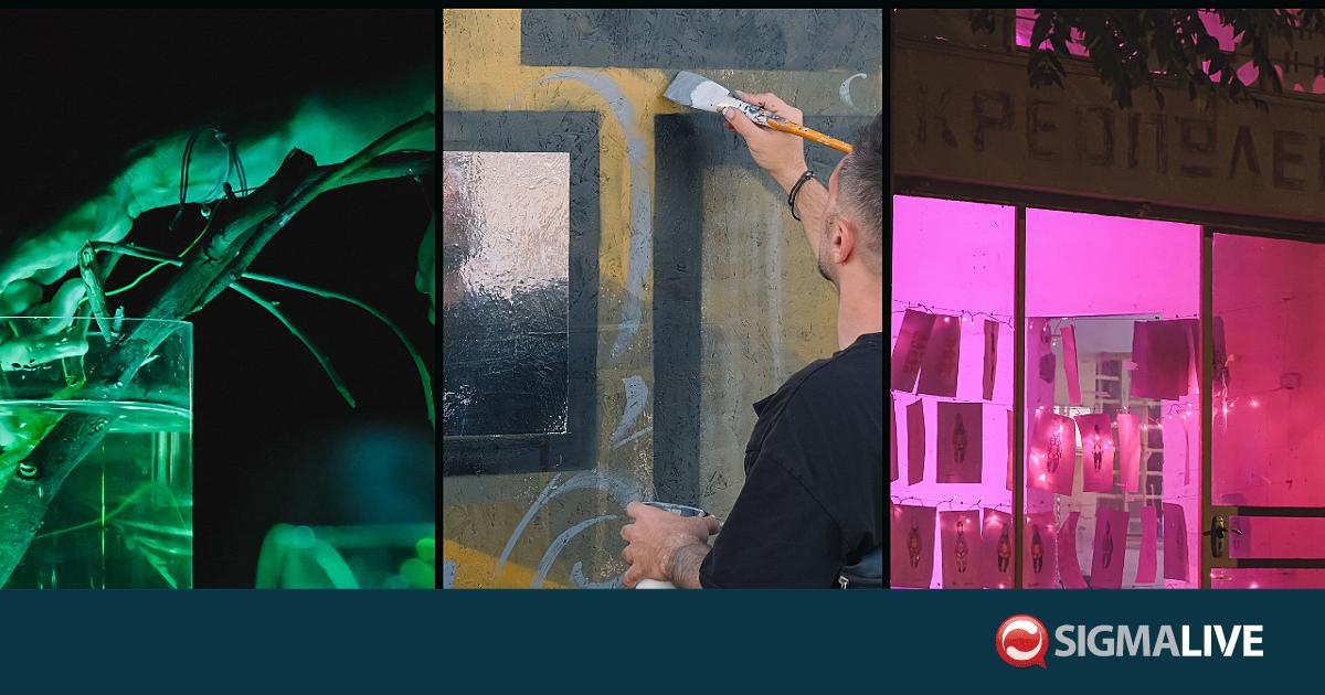 EUnity20: Τέχνη και κοινότητα σε διάλογο μέσα από τρεις δημόσιες παρεμβάσεις