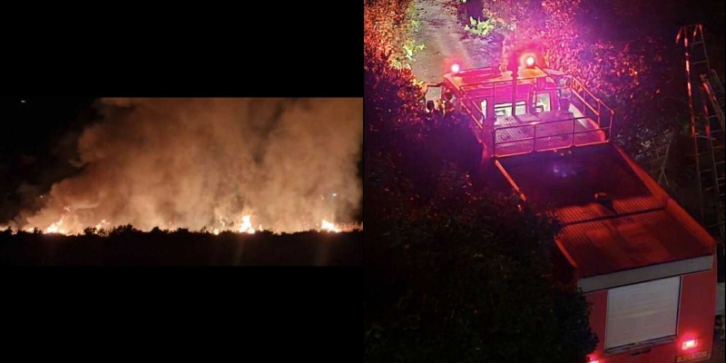 Σε κινητοποίηση η Πυροσβεστική για πυρκαγιά στην Πάφο – Κινδύνευσαν σπίτια