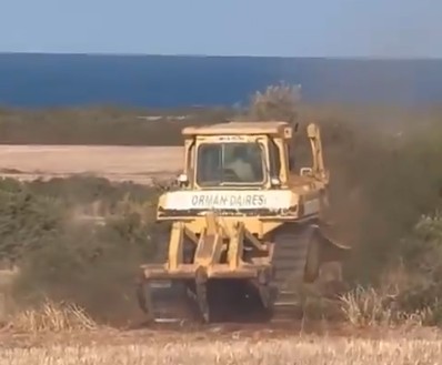 «Ξεριζώνουν το περιβάλλον»: Οργή για μπουλτόζες στην Καρπασία (VID)