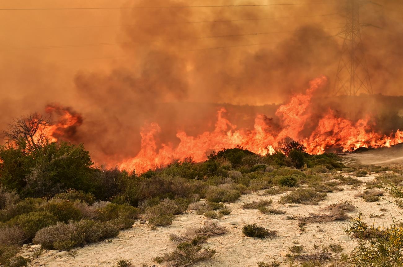Υπό πλήρη έλεγχο τέθηκε δασική πυρκαγιά σε περιοχή Νέου Χωριού Πάφου