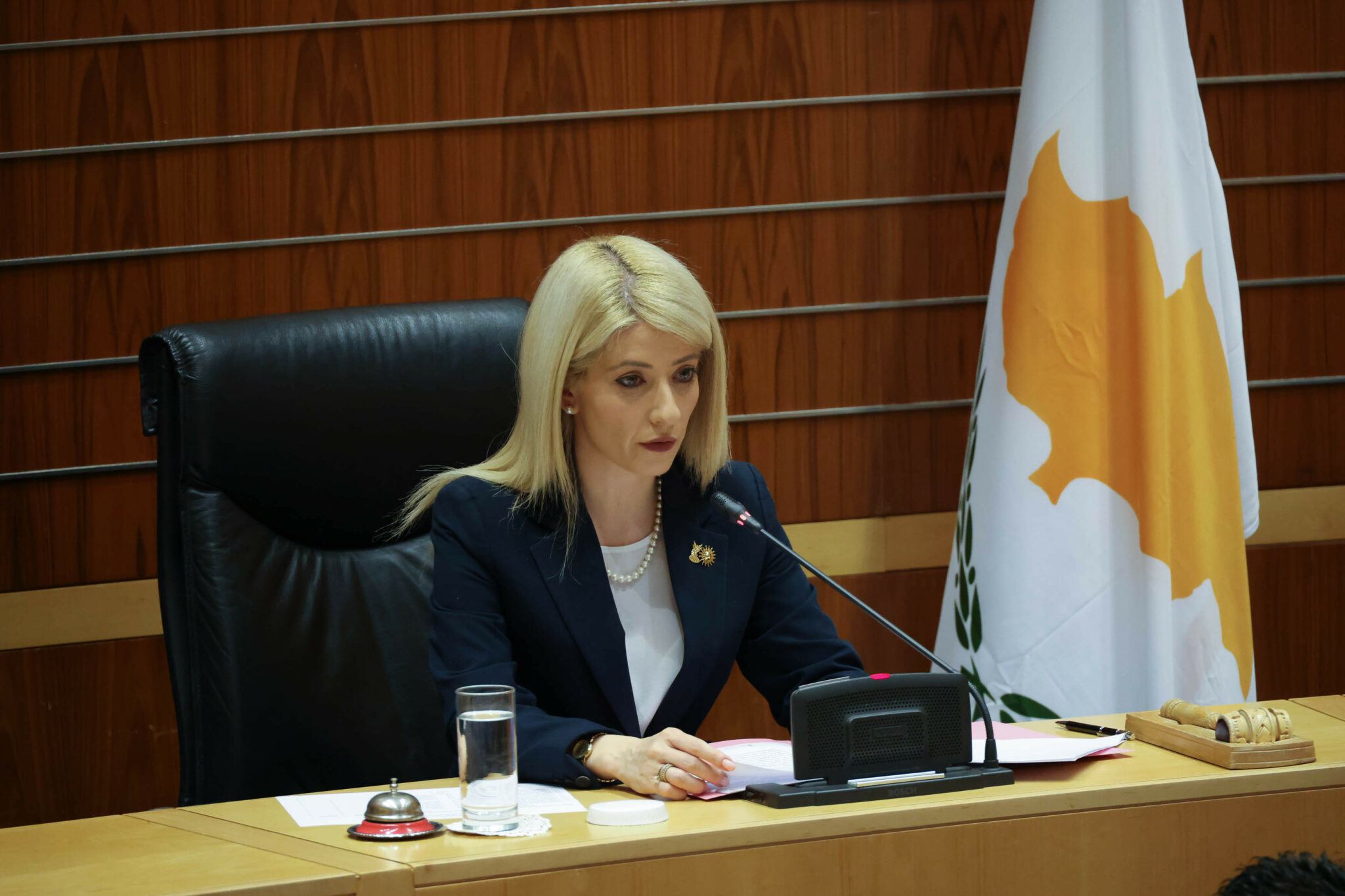 Αννίτα: Υπό εξέταση η εκλογή ΠτΒ και η δημοσιότητα συνεδριάσεων Επιτροπών