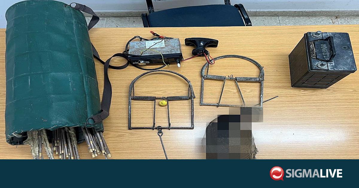 Συνέλαβαν για 5η φορά λαθροθήρα – Έστηνε σιδεροπαγίδες στη Λάρνακα