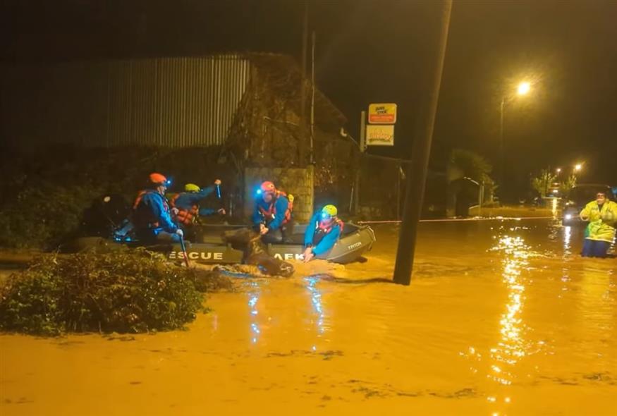 Καρέ καρέ η διάσωση αλόγου που «βούλιαξε» σε λασπόνερα στη Φιλιππιάδα (vid)