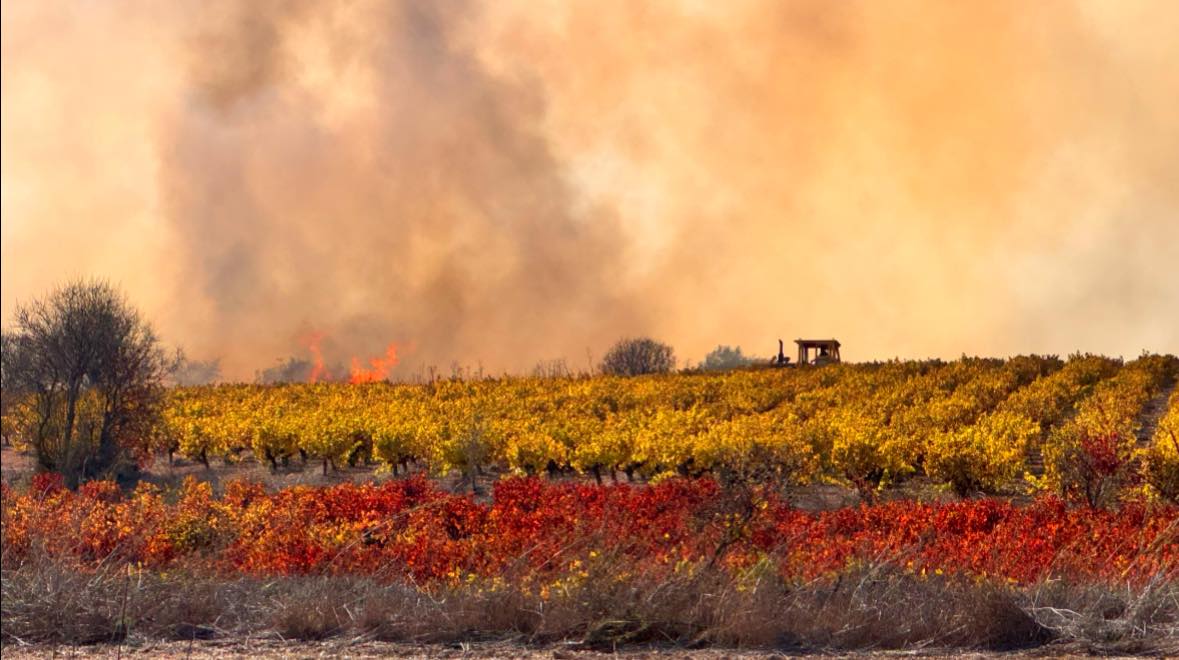 Ολονύχτια μάχη με τις φλόγες στο Στρουμπί– Νέες ρίψεις από αέρος νωρίς το πρωί