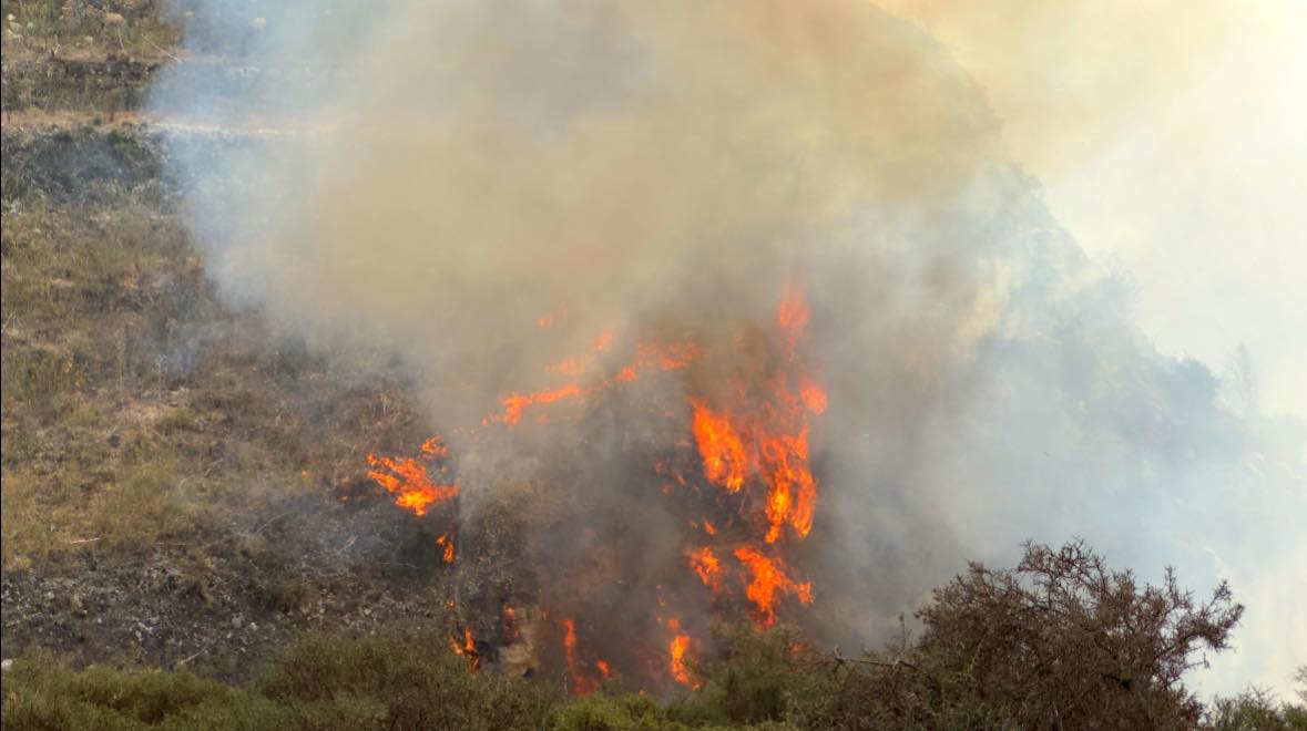 Ολονύχτια μάχη με τις φλόγες σε Στρουμπί και Κοίλη- Υπό μερικό έλεγχο η φωτιά