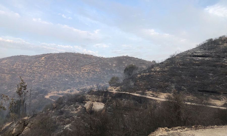Ανδρέας Κεττής: Αντιμετωπίστηκε η αναζωπύρωση της πυρκαγιάς στην Πάφο