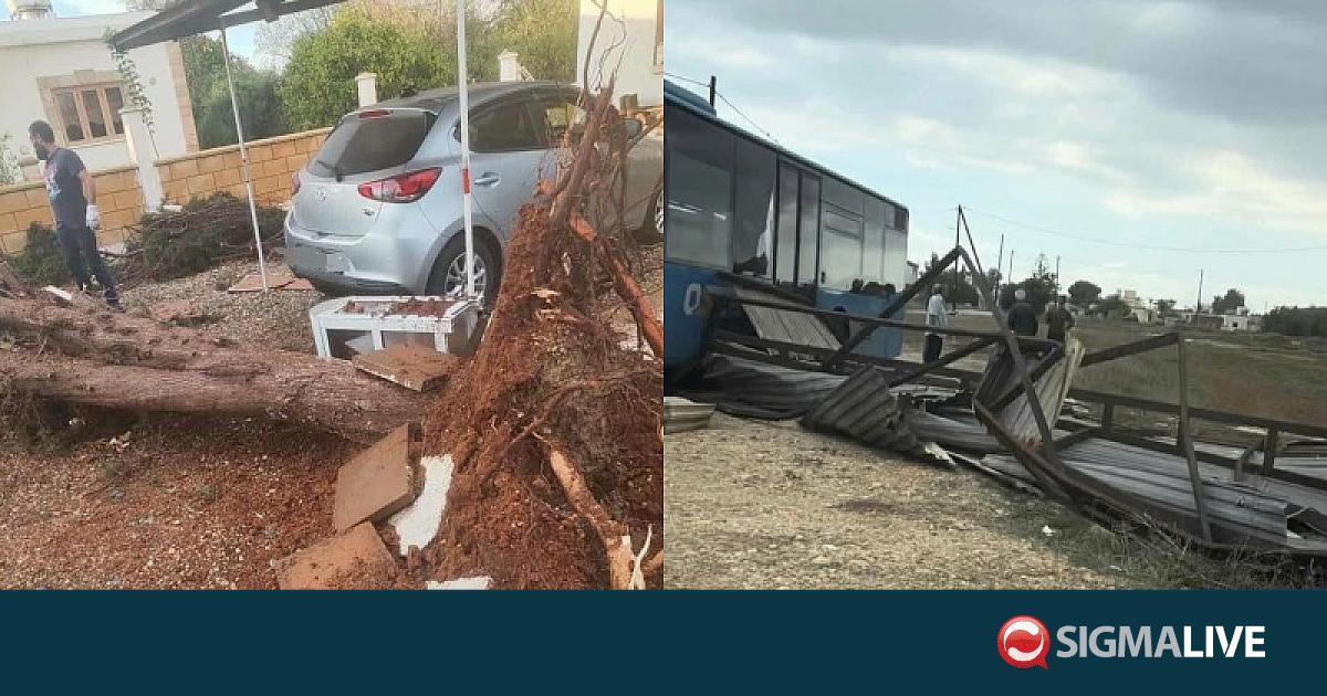 Όσα άφησε πίσω το πέρασμα ανεμοστρόβιλου στο Αυγόρου – Ξεριζώθηκε δέντρο (VID)