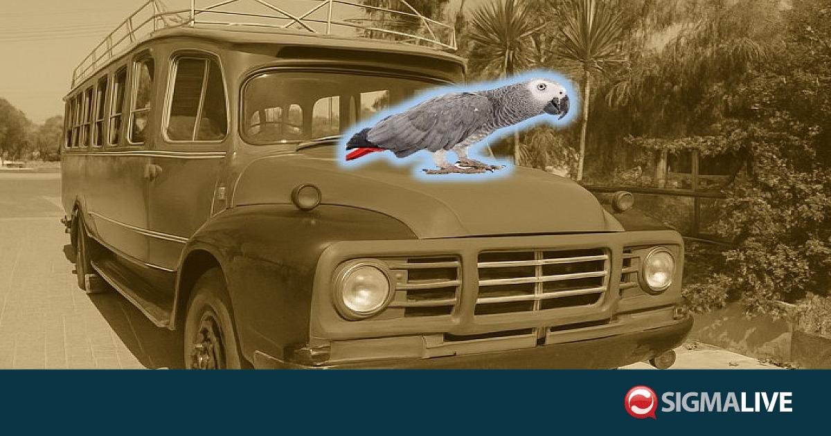 Πώς ο παπαγάλος «Κόκος» έσωσε 15 κρυμμένους Ασσιώτες το 1974 από Τούρκους