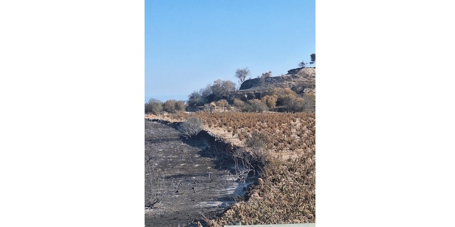 Έργο αποκατάστασης πυρόπληκτής περιοχής ξεκινά η ΑΚΤΗ