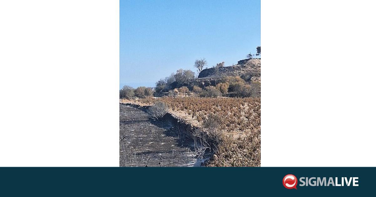 Έργο αποκατάστασης πυρόπληκτής περιοχής ξεκινά η ΑΚΤΗ