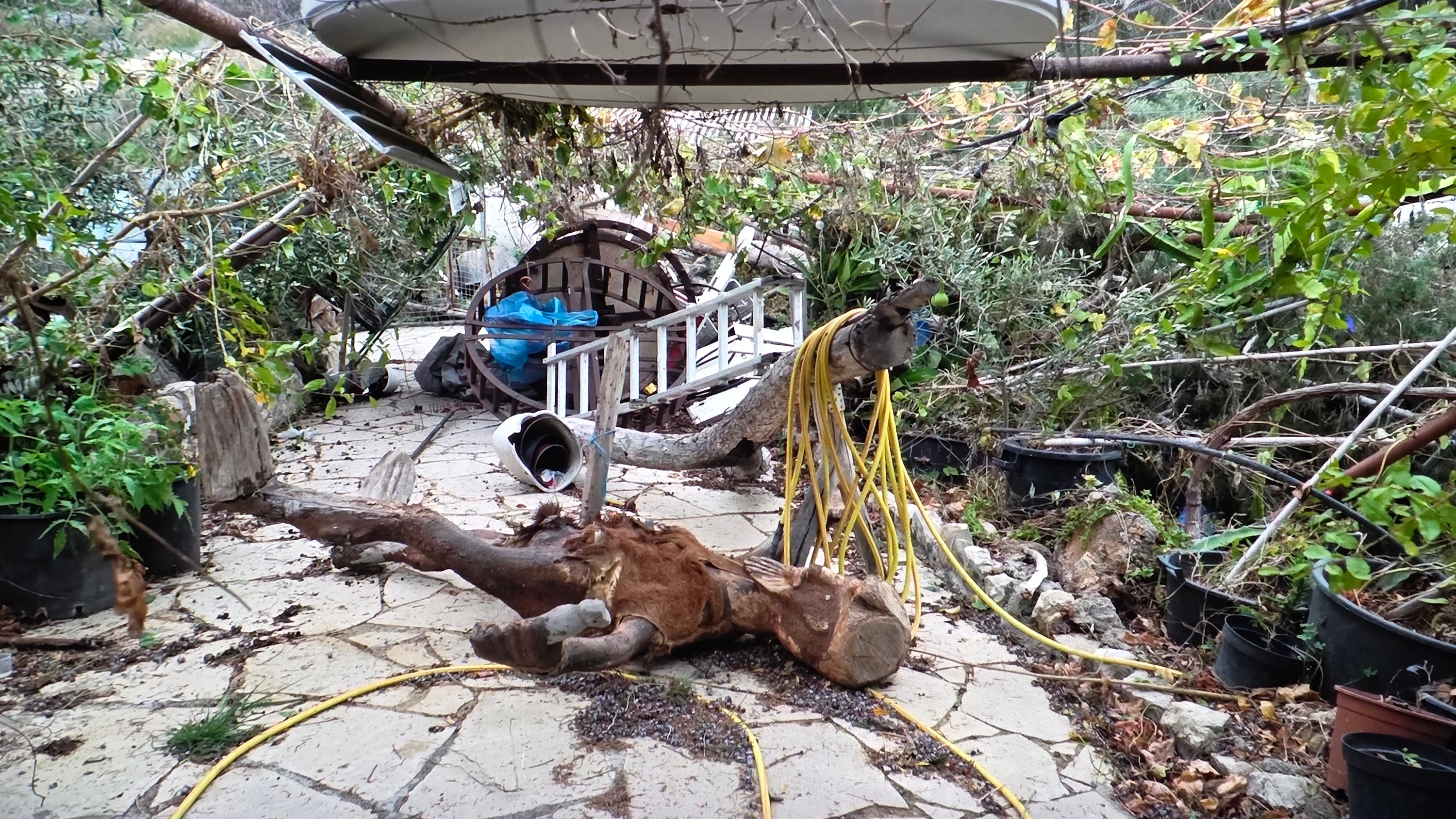 ΦΩΤΟ: Ανεμοστρόβιλος έπληξε την Πάφο – Δέντρα έπεσαν σε υποστατικά