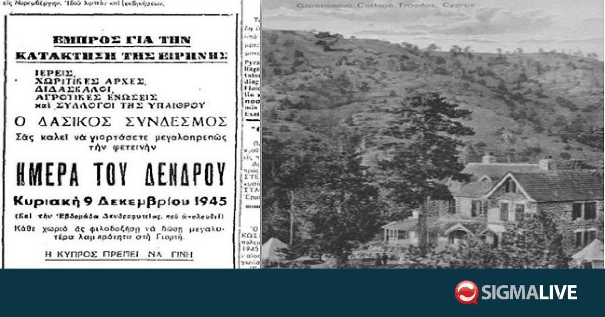Ημέρα του Δέντρου: 80 χρόνια από το 1945 ως τη μεγάλη φωτιά του 2025