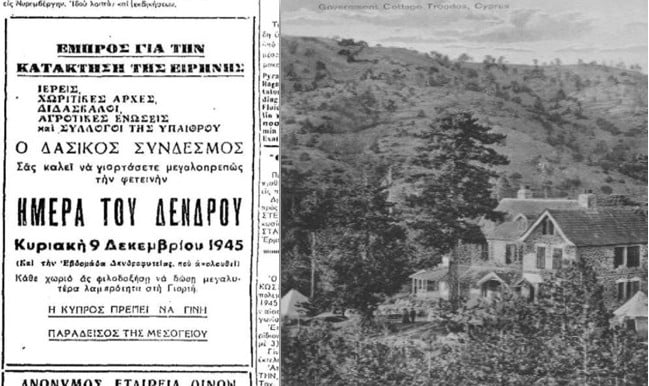 Ημέρα του Δέντρου: 80 χρόνια από το 1945 ως τη μεγάλη φωτιά του 2025