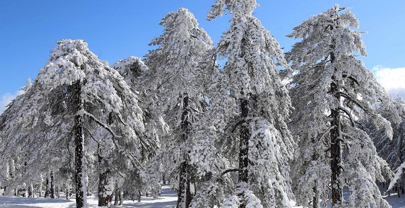 Αναβαθμίζεται σε πορτοκαλί η προειδοποίηση - Έρχονται χιόνια στο Τρόοδος