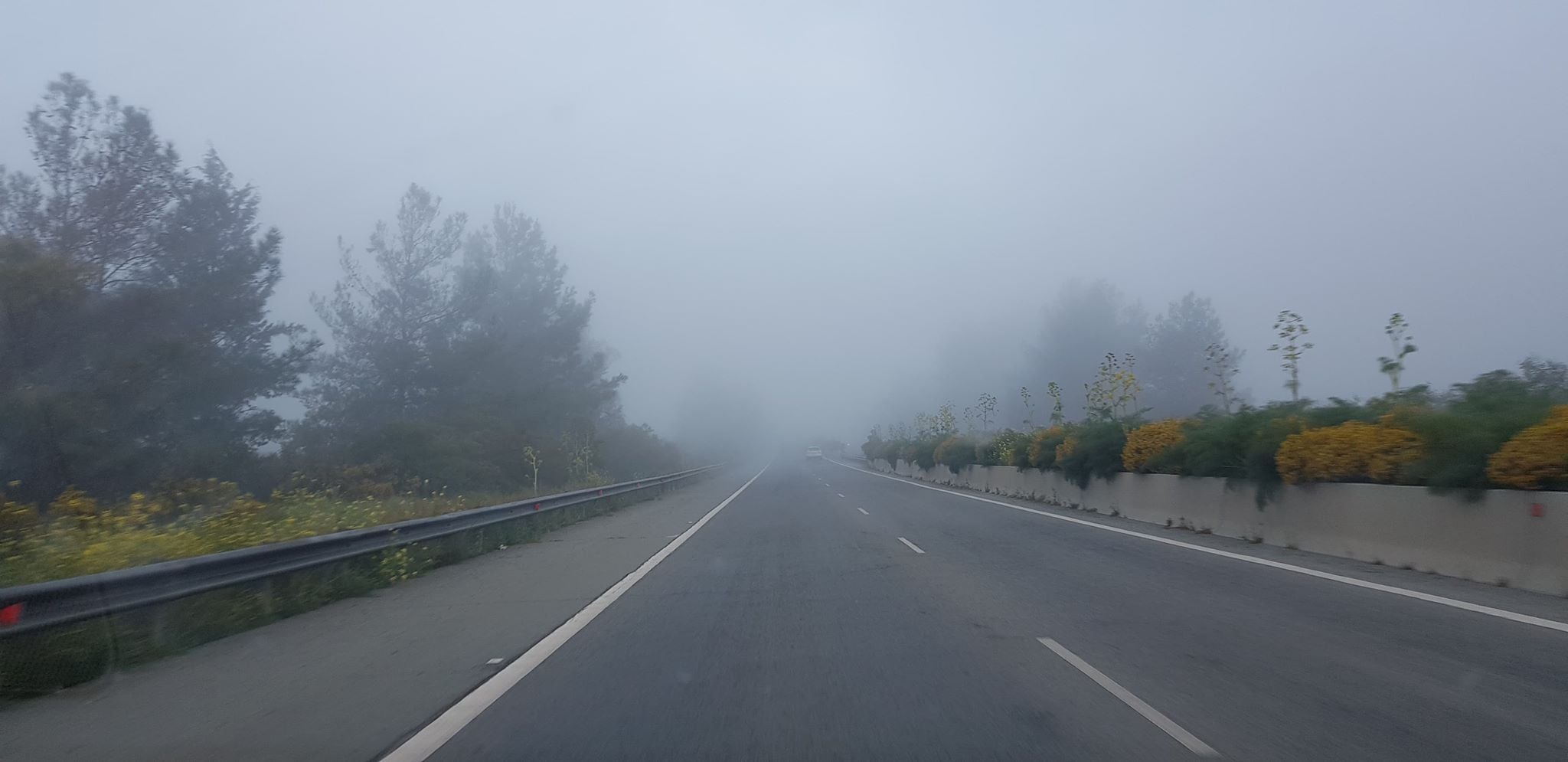 Προειδοποιεί η Αστυνομία: Πυκνή ομίχλη στον δρόμο Ευρύχου–Καρβουνά