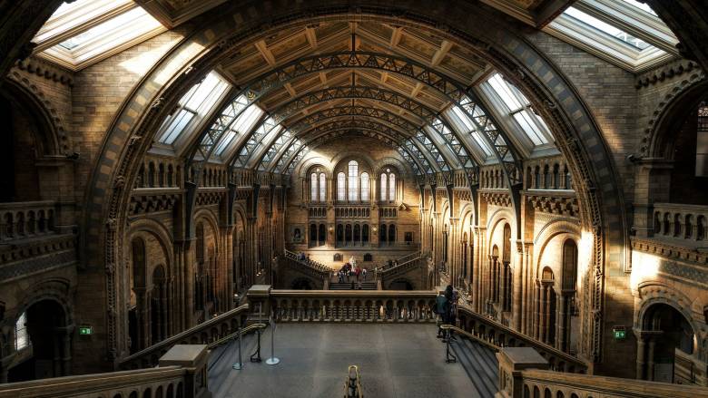 Μουσείο Μπρίστολ: Κλάπηκαν 600 αντικείμενα «σημαντικής πολιτιστικής αξίας»