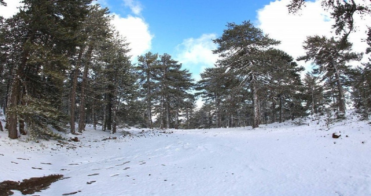 Πώς θα είναι ο καιρός μέχρι το τέλος του 2025 - Πότε θα δούμε «Λευκό» Τροόδος