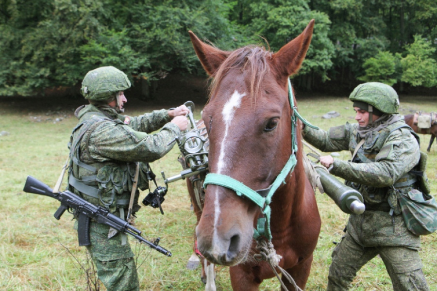 Ρώσοι στρατιώτες ιππεύουν άλογα στην πρώτη γραμμή και πλήττονται απο drones