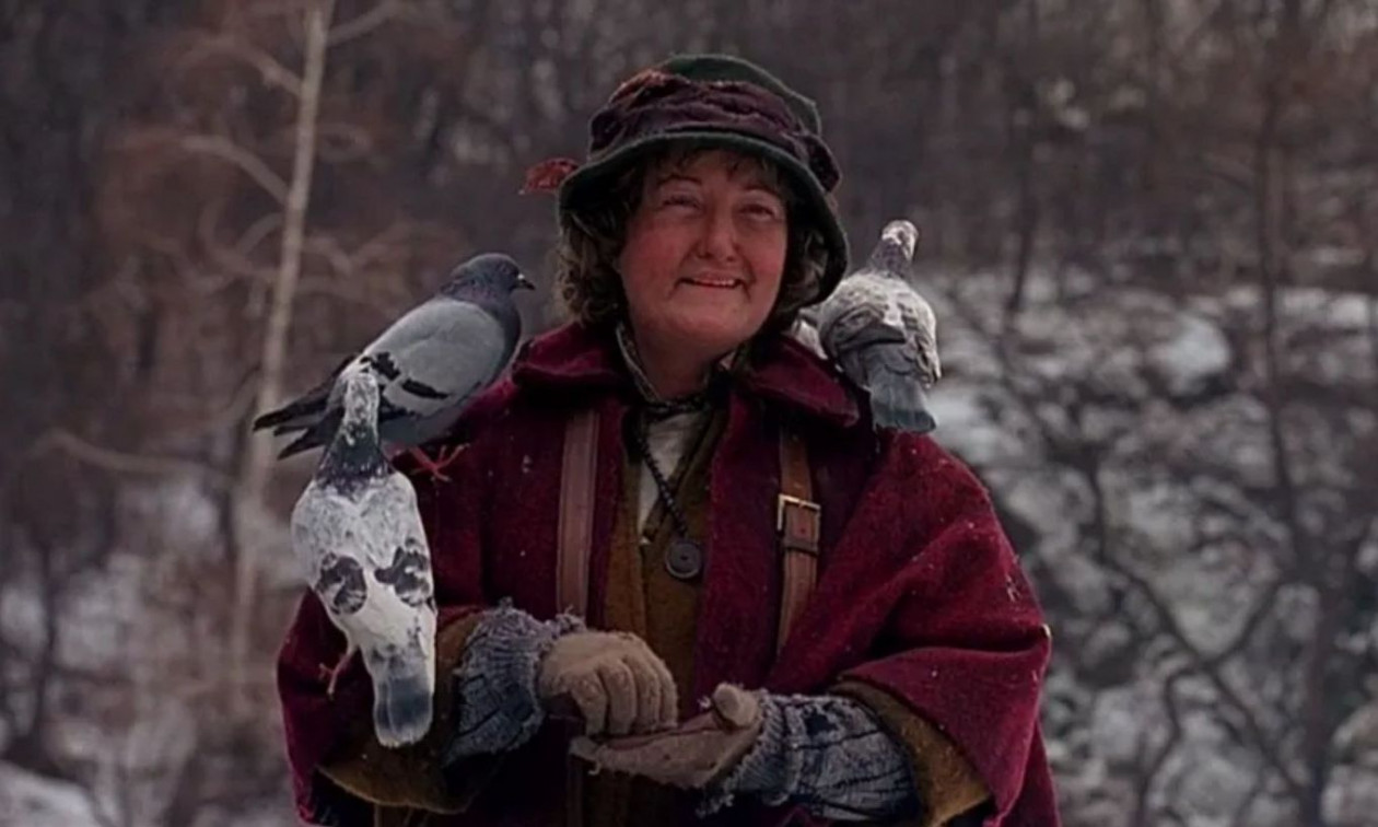 Home alone: Η τραγική ιστορία της «κυρίας με τα περιστέρια»