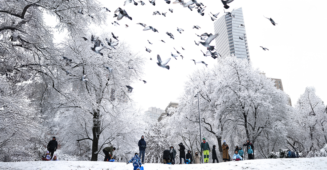 Χιονοθύελλα «παγώνει» τη Νέα Υόρκη, πάνω από 1.600 ακυρώσεις πτήσεων