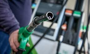 Annual increase of 5.6% in oil sales in November