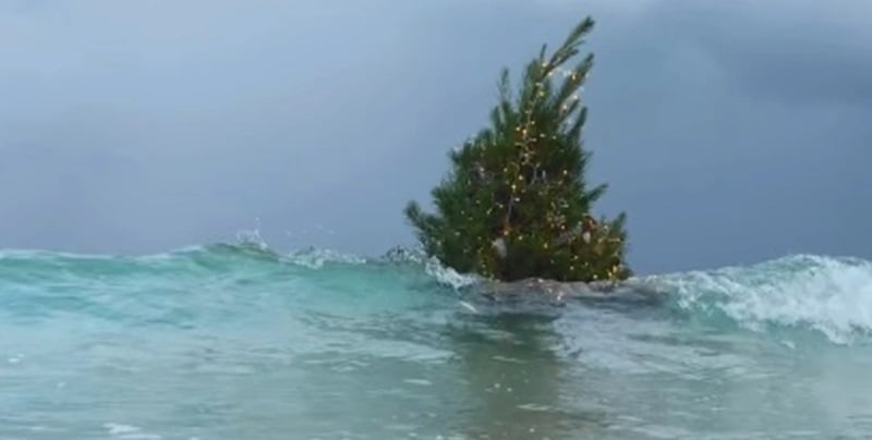 ΒΙΝΤΕΟ: H ιστορία του πιο viral χριστουγεννιάτικου δέντρου των φετινών γιορτών