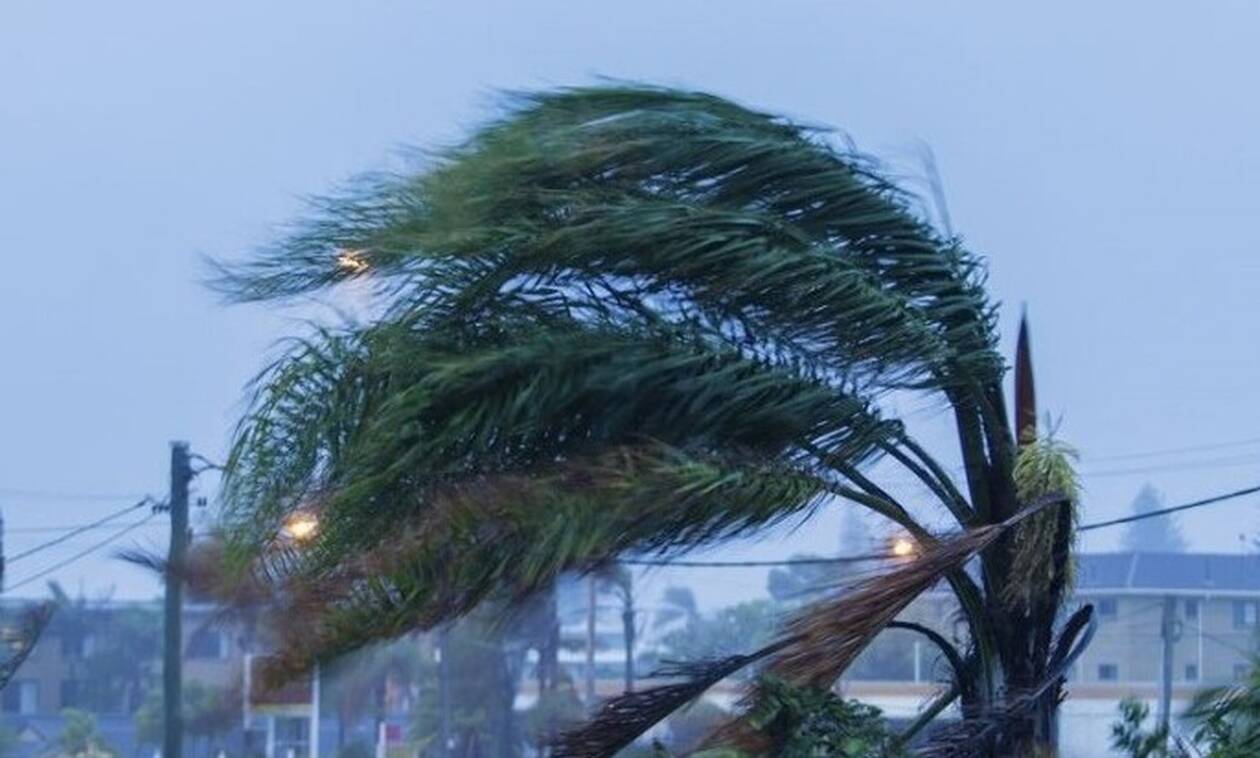 Windy New Year's Eve: 7 Beaufort Winds Expected in 2026