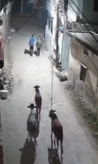 Δείτε βίντεο: Άγρια αρκούδα παίρνει στο κυνήγι δύο άνδρες σε επαρχία της Ινδία