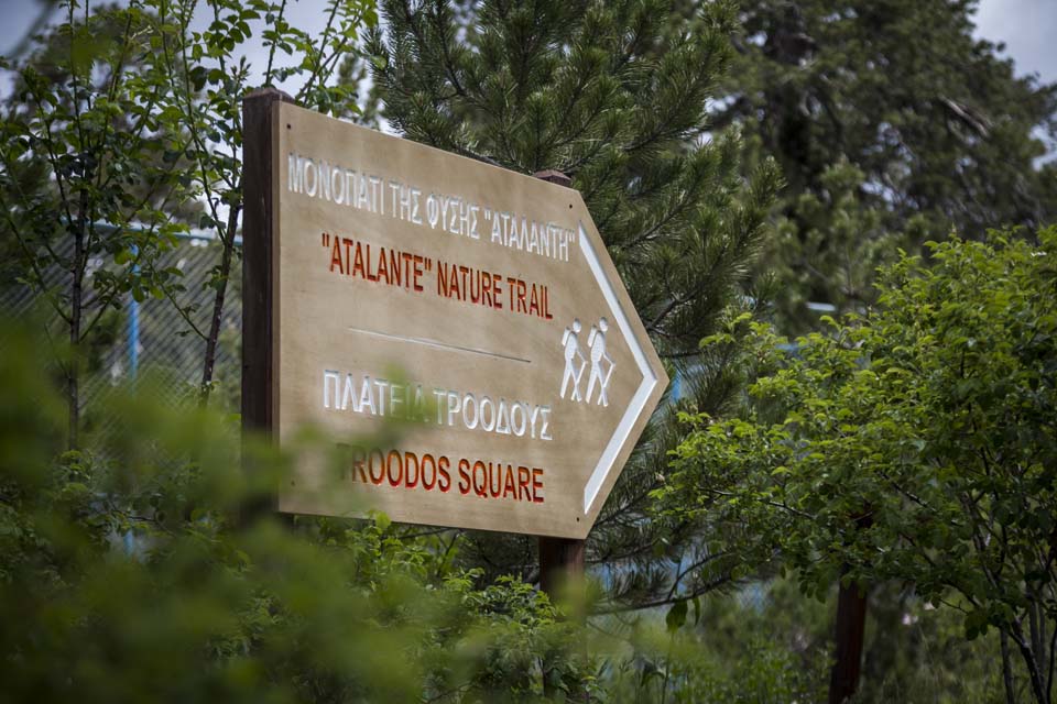 Troodos: Young Hikers Lost on 'Atalanti' Trail - EMAK Search Operation