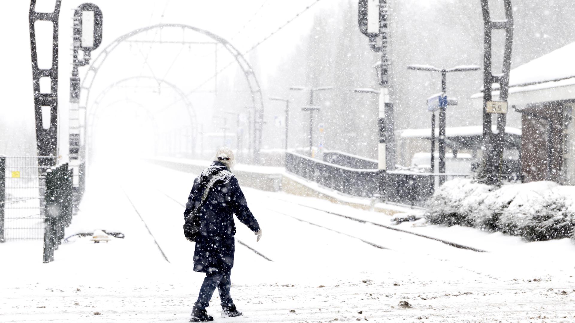 Netherlands: All Train Services Suspended Due to Snow
