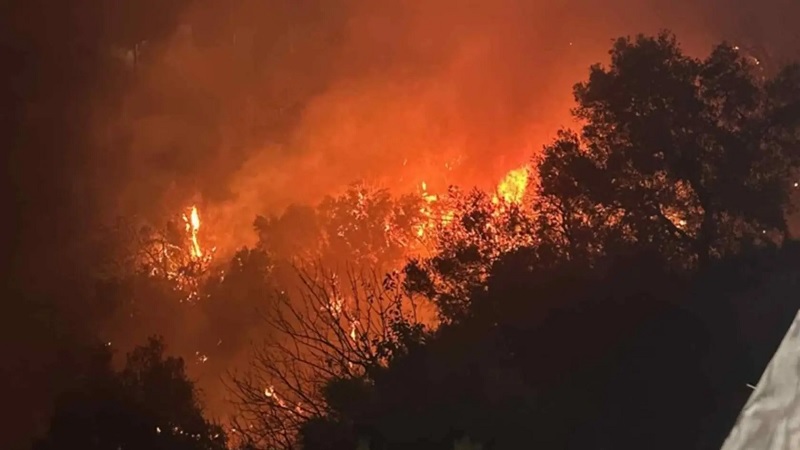 Large Fire Breaks Out Amid Strong Winds in Chania (PHOTOS)